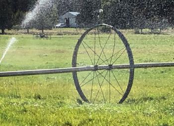 Irrigating a pasture.