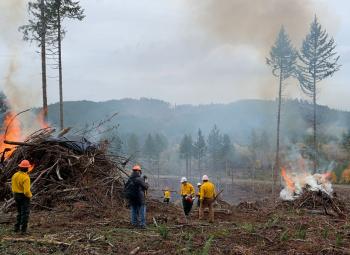 Fore professionals are in a forest field setting piles of wood on fire as part of prescribed burning.