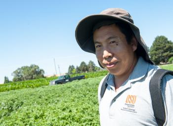 A man wearing a wide-brimmed hat and an Oregon State University shirt stands in a green crop field on a sunny day.