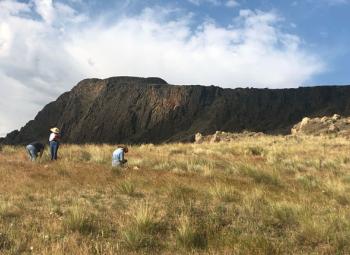 Several people wearing hats work in a grassy field near a rocky mesa under a partly cloudy sky.