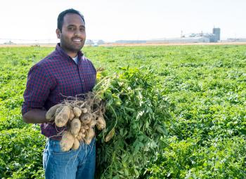 A man stands smiling in a potato field on a sunny day, holding up a freshly harvested potato plant with tubers still attached.