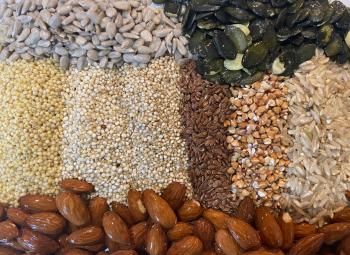 An assortment of soaked grains, seeds, and nuts are neatly arranged in vertical rows.