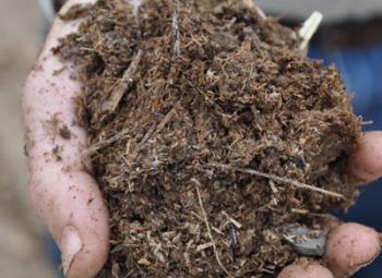 A close-up of hands holding a large handful of moist, fibrous compost.