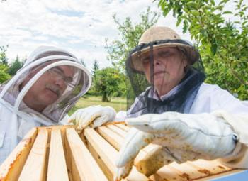 Master Beekeepers