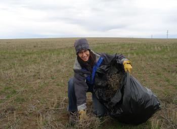 Judit Barroso, an OSU assistant professor and Extension weed specialist, is the co-author of the Extension publication "Russian Thistle: Management in a Wheat-Fallow Crop Rotation."