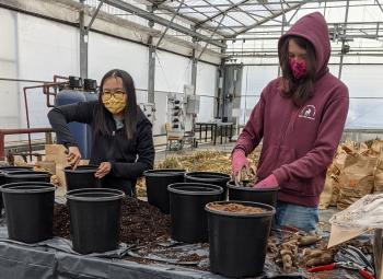 Two people wearing hoodies fill pots with soil and plant materials inside a greenhouse.