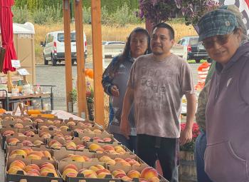 Three people browse fresh peaches arranged in boxes at an outdoor fruit stand during OSU Extension Fruit Loop Tour.