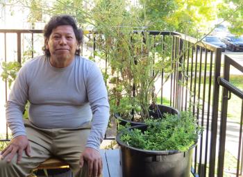 A man sits in a chair on a patio next to potted vegetable plants.